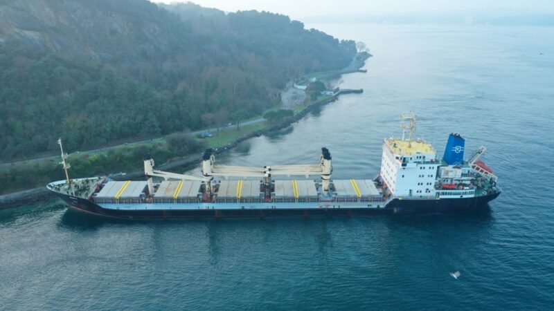 ウクライナの穀物を積んだ貨物船がボスポラス海峡で座礁