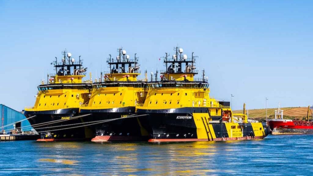 黄色と黒の阪神タイガースカラー、北欧のAHTS