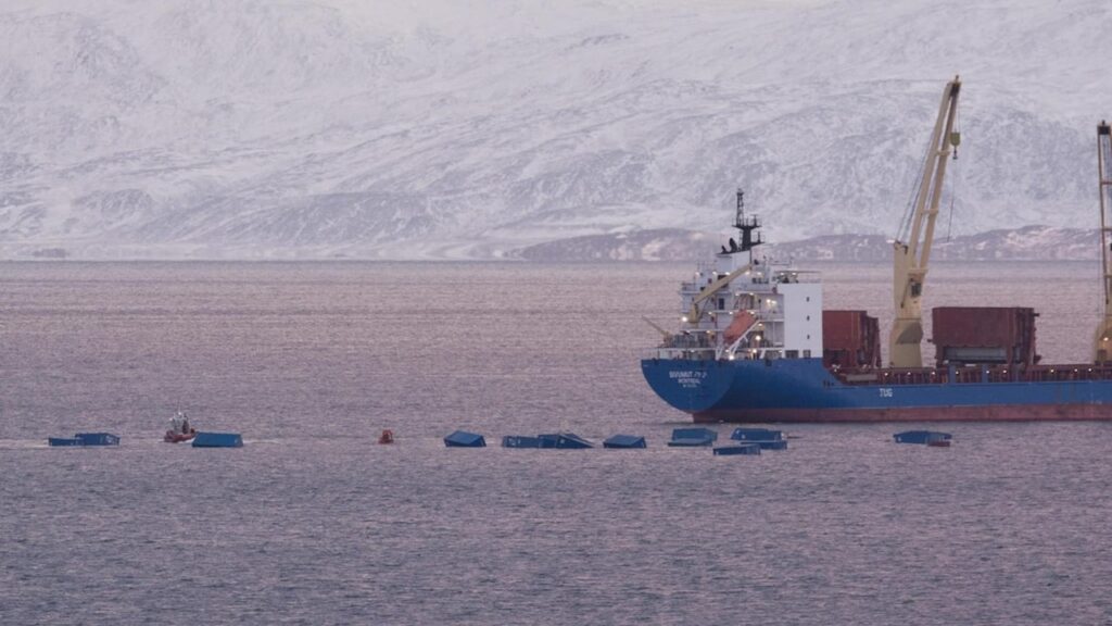 カナダでコンテナ20個などが海に流出
