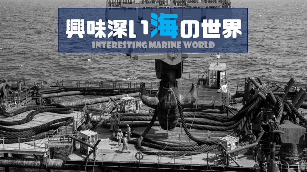 興味深い海の世界