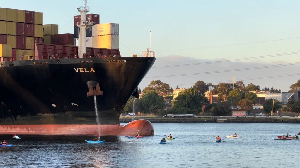 オーストラリアで親パレスチナの抗議者がコンテナ船入港を妨害