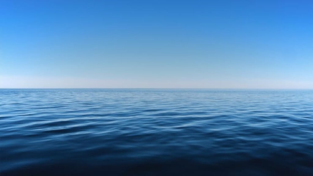 スウェーデンの浮体式洋上風力で漁業養殖との組み合わせを検討